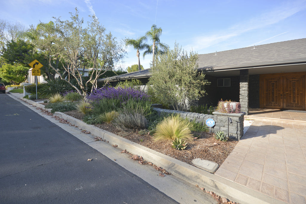 Mid Century - MID2052