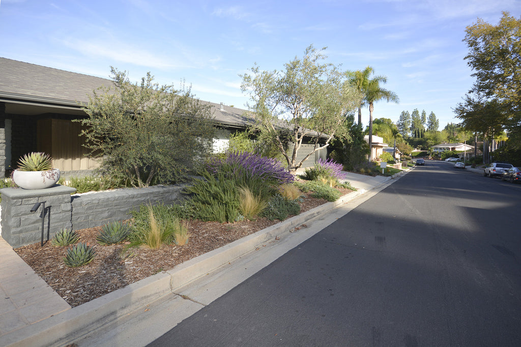 Mid Century - MID2052