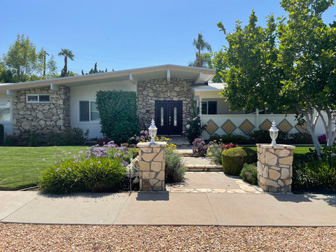 Mid Century - MID2065