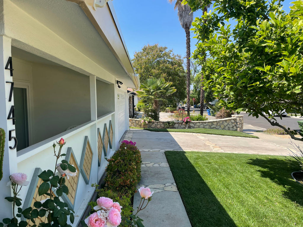 Mid Century - MID2065