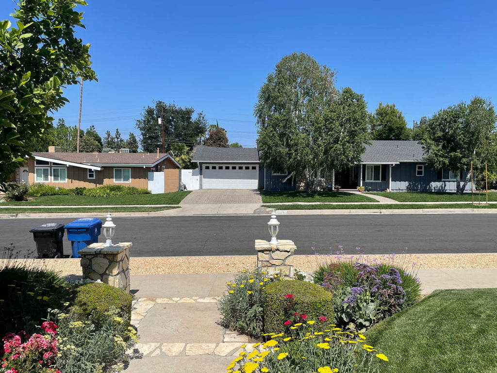 Mid Century - MID2065