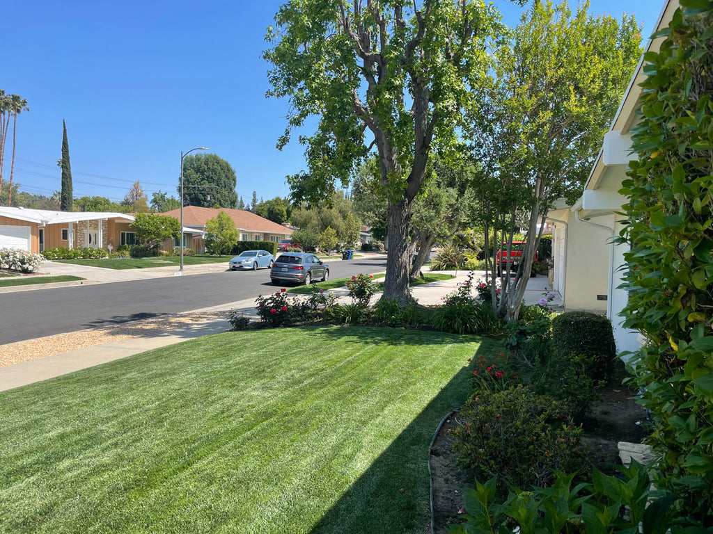 Mid Century - MID2065