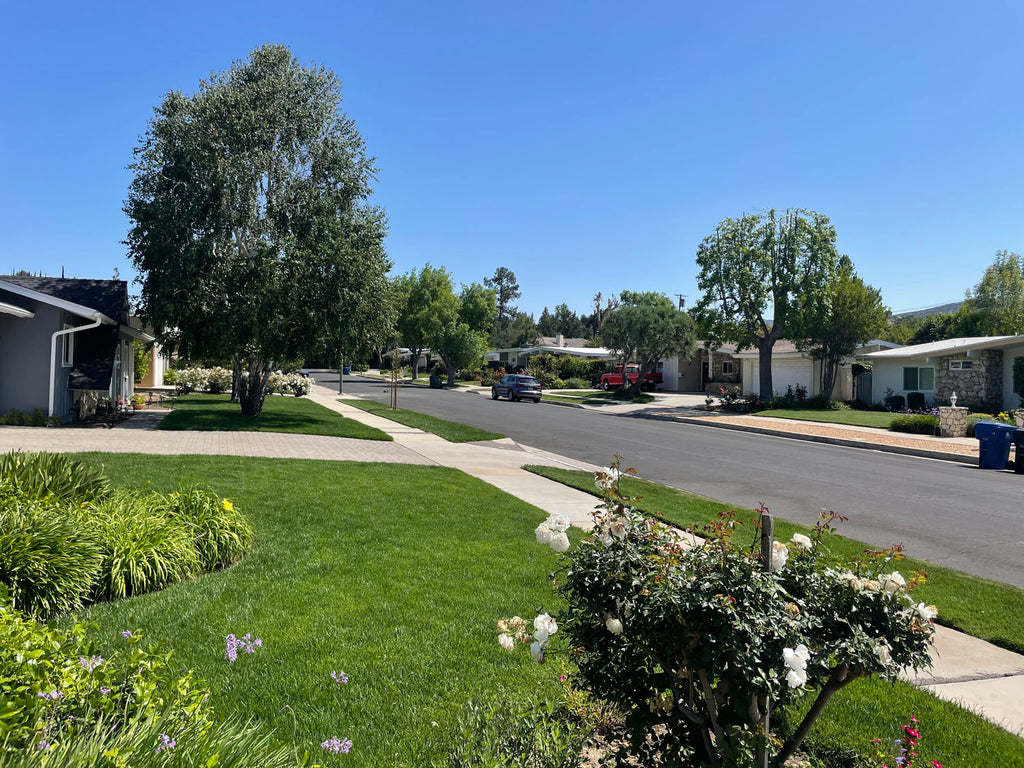 Mid Century - MID2066