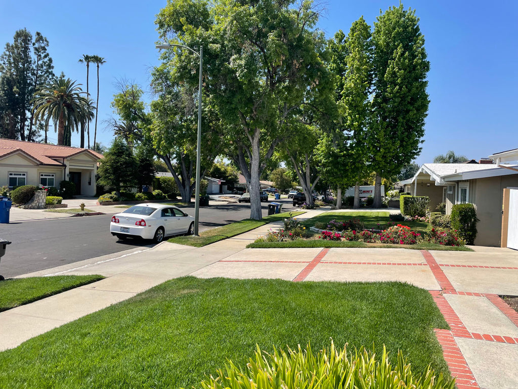 Mid Century - MID2066