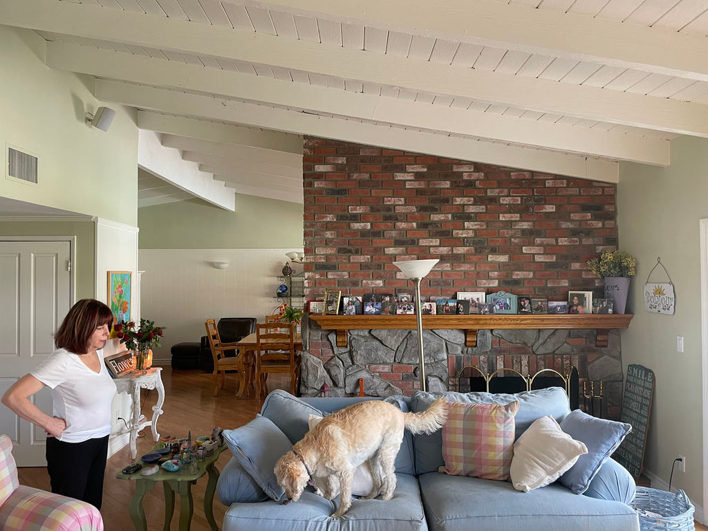 Mid Century - MID2066