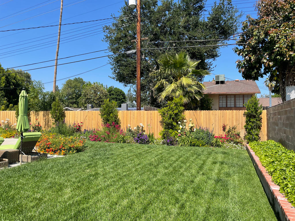 Mid Century - MID2066