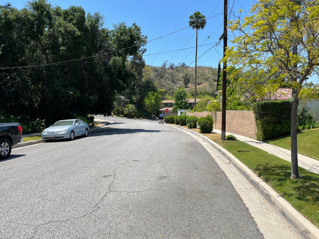 Mid Century - MID2067