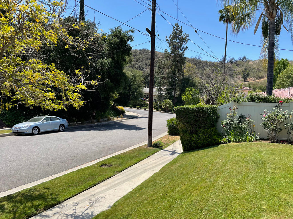 Mid Century - MID2067