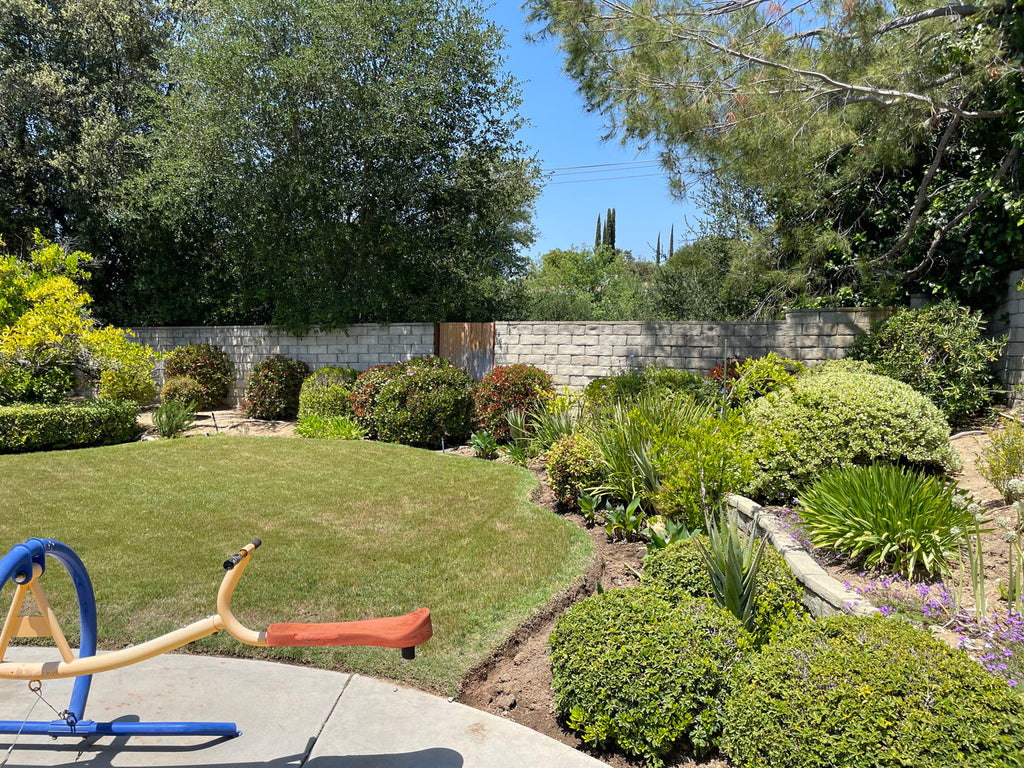 Mid Century - MID2067