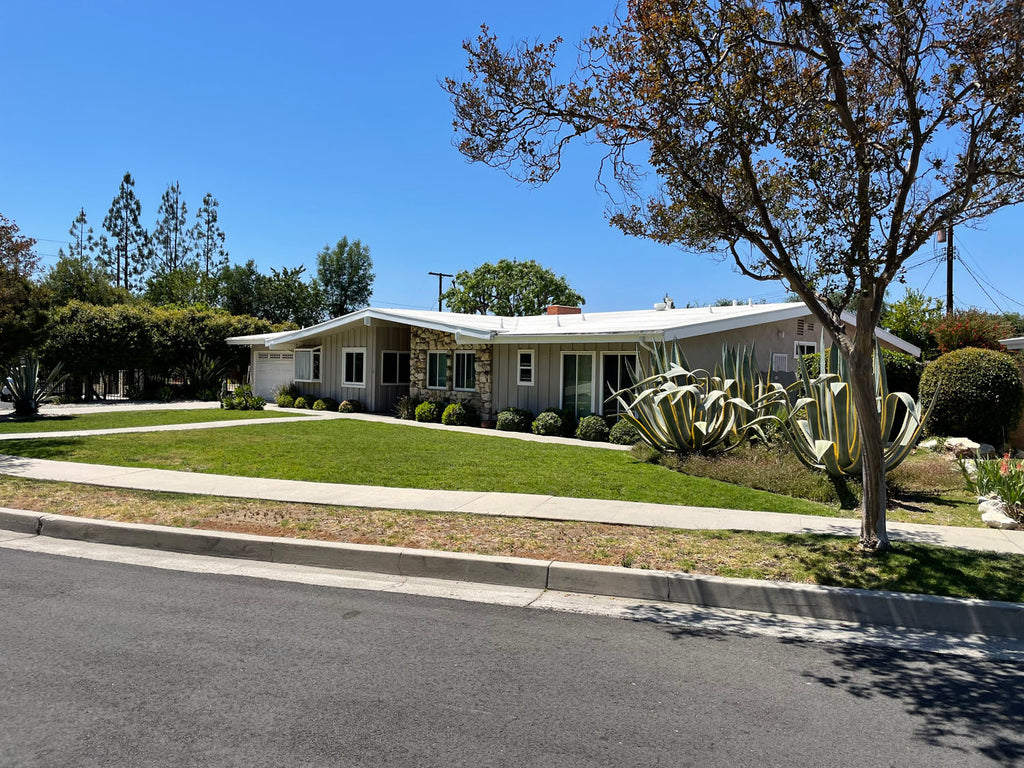 Mid Century - MID2068