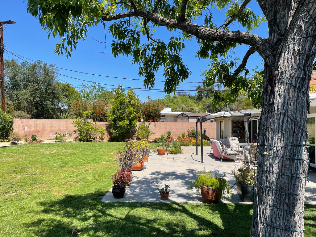 Mid Century - MID2068