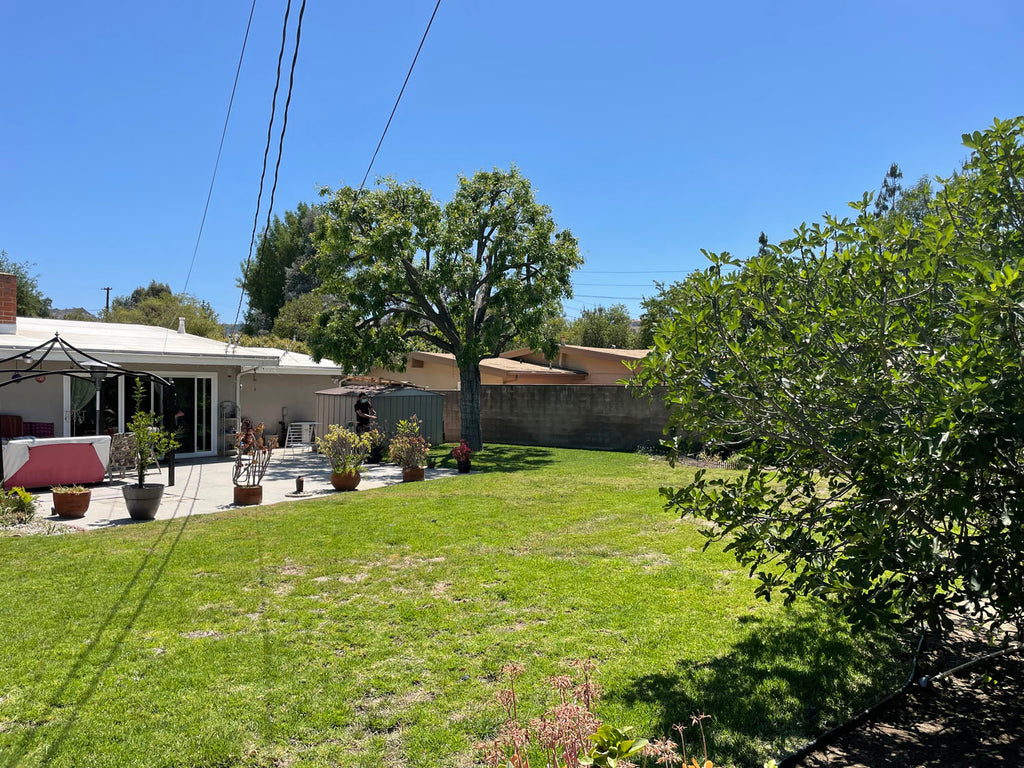 Mid Century - MID2068