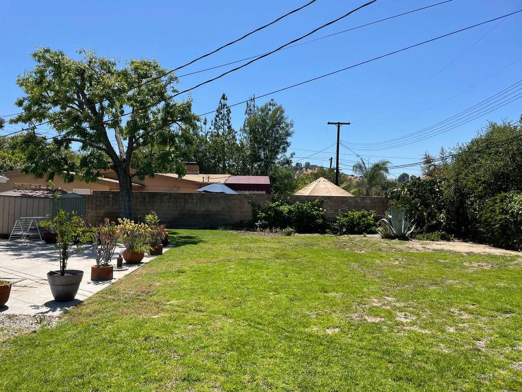 Mid Century - MID2068