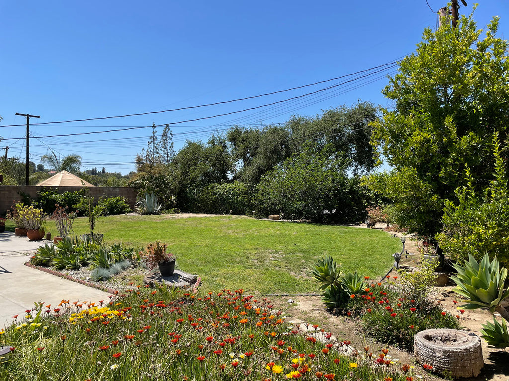 Mid Century - MID2068