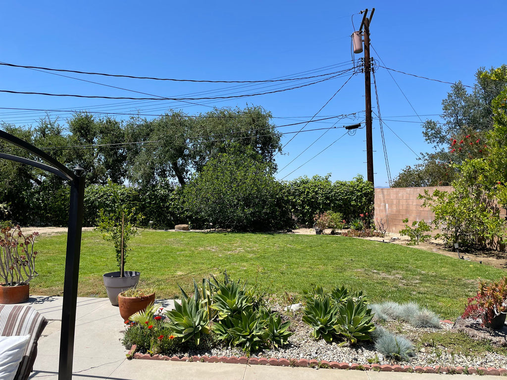 Mid Century - MID2068