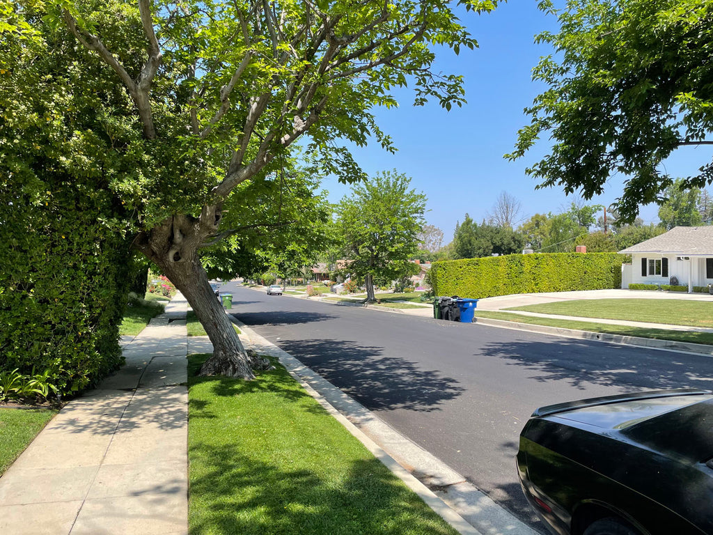 Mid Century - MID2069