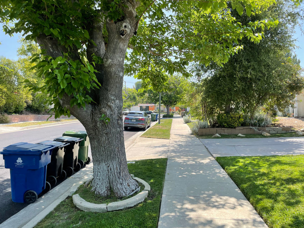 Mid Century - MID2069