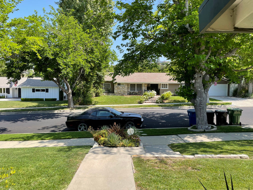 Mid Century - MID2069