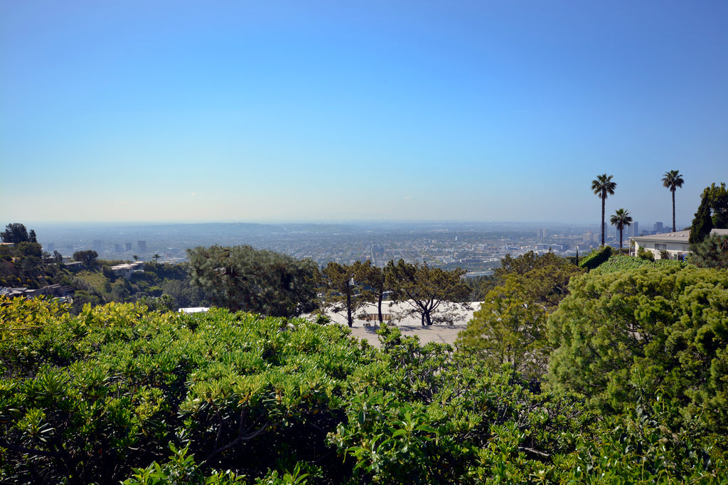 Contemporary - MO2048