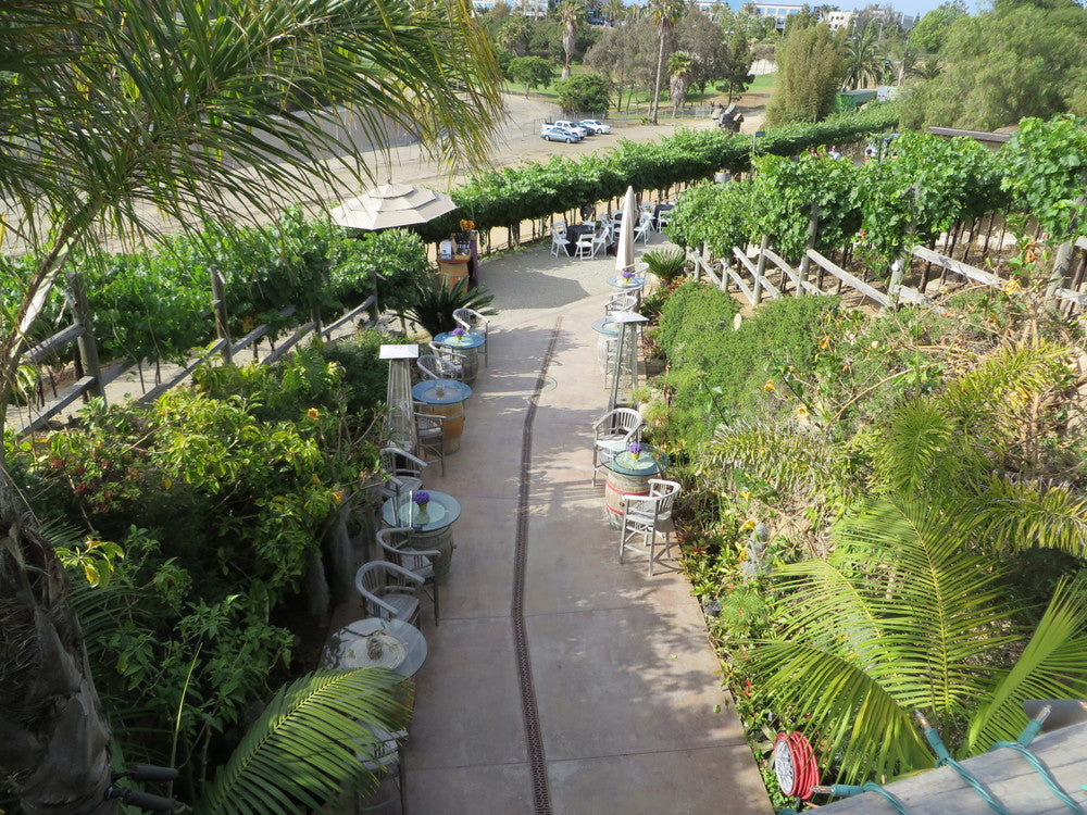 Modern - MO2053 - w/Vineyard - Newport Beach