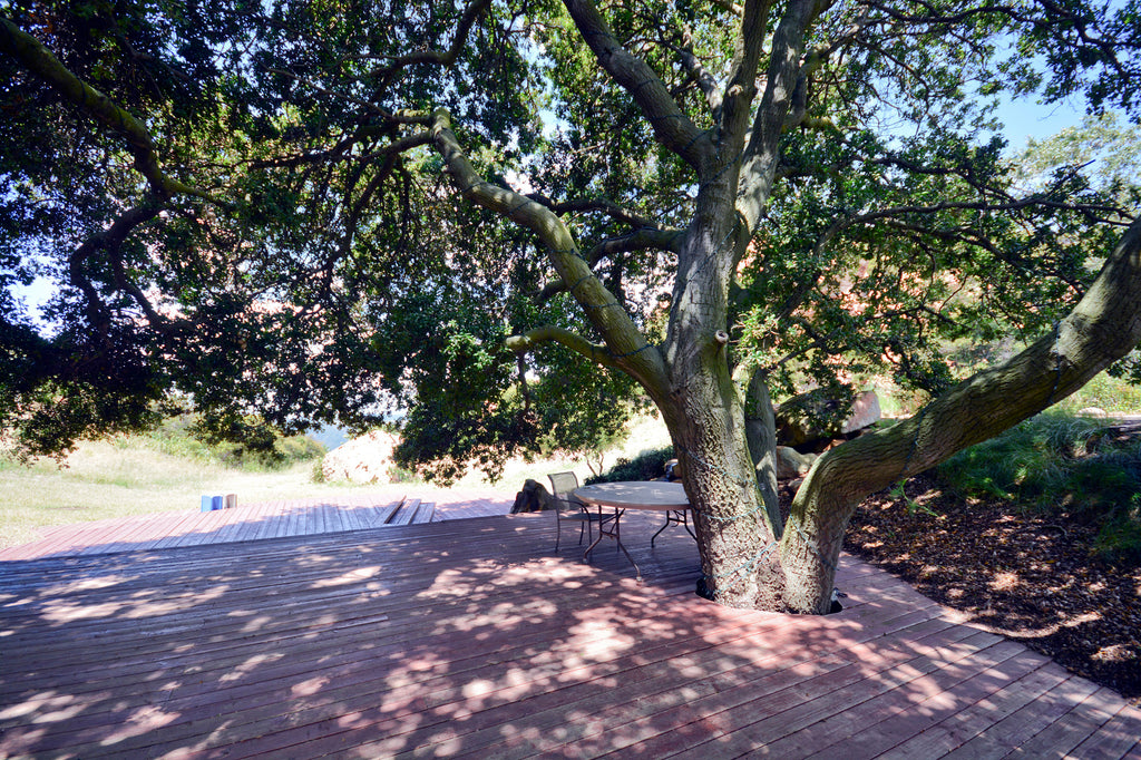 Architectural - ARCH2041B