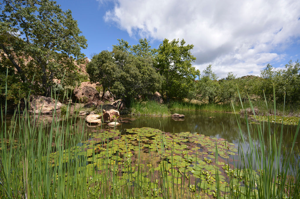 Architectural - ARCH2041B