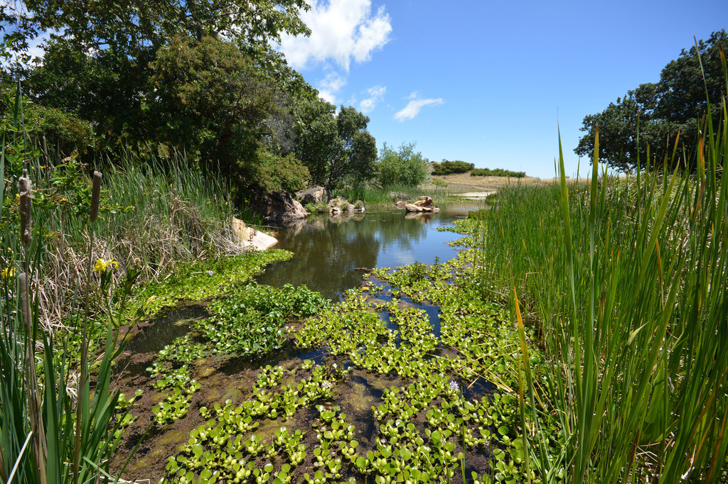 Architectural - ARCH2041B