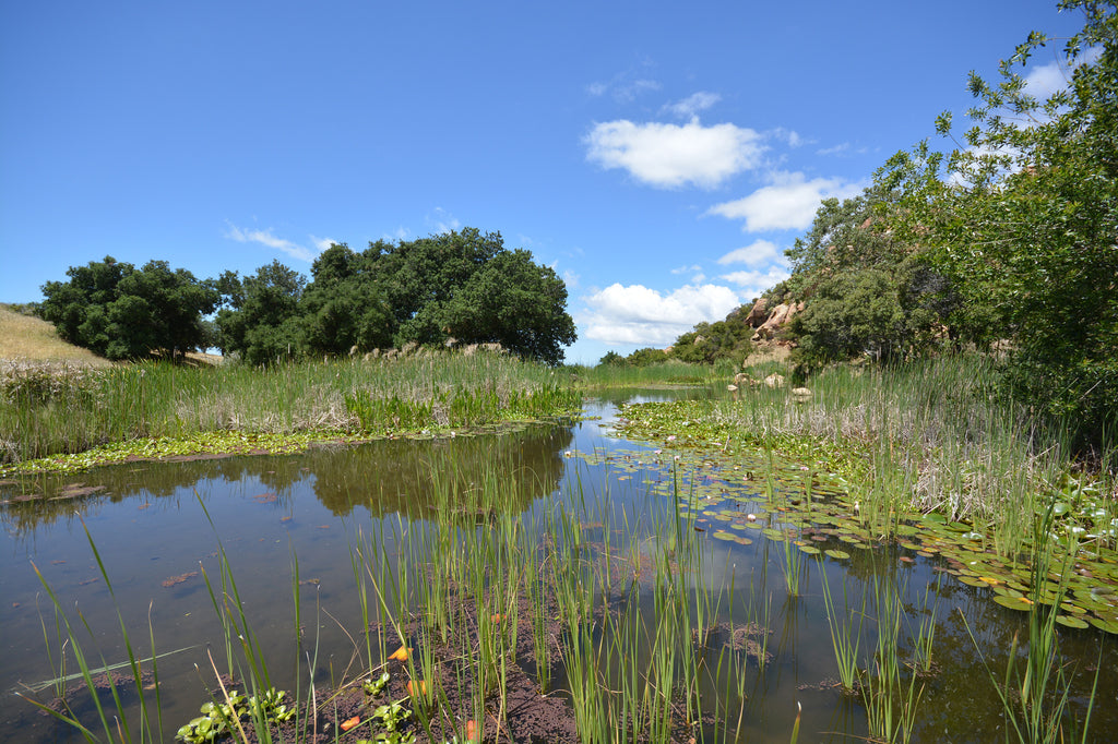 Architectural - ARCH2041B