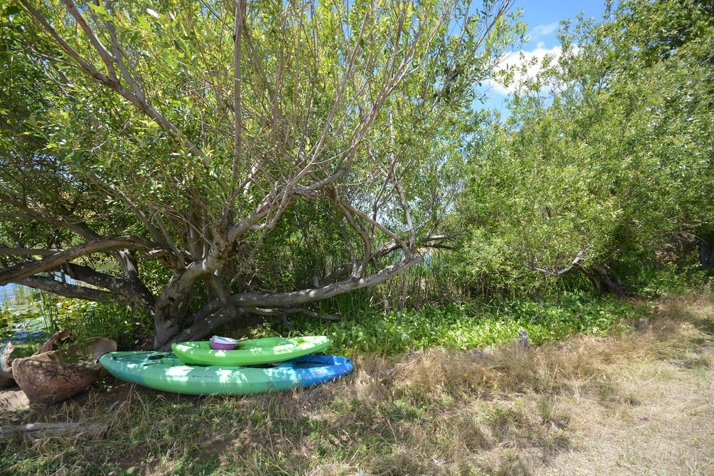 Architectural - ARCH2041B