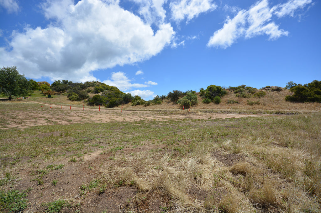 Architectural - ARCH2041B