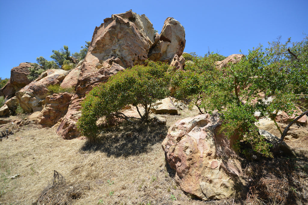 Architectural - ARCH2041B