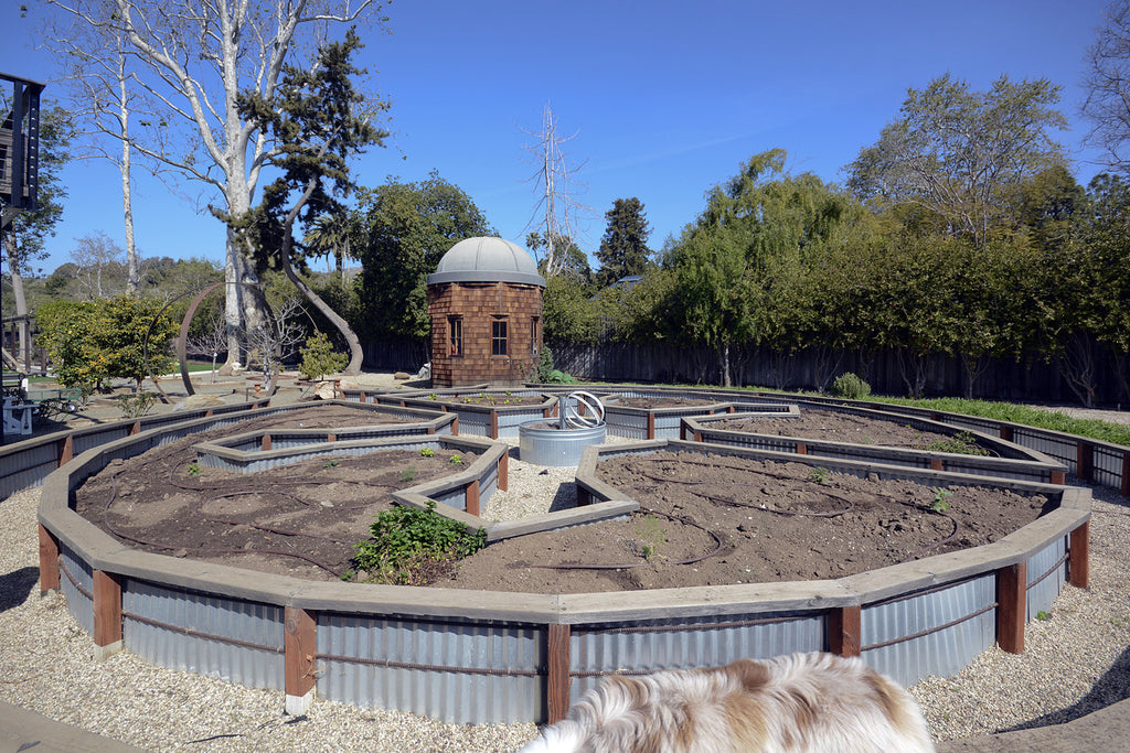 Modern Ranch - MO2080