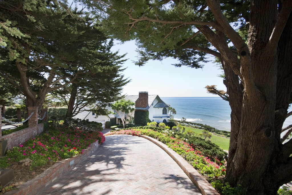 Cape Cod - Cape33572