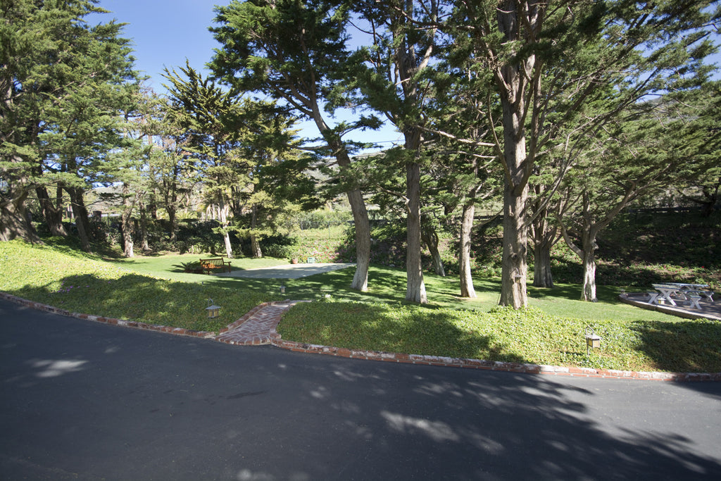 Cape Cod - Cape33572