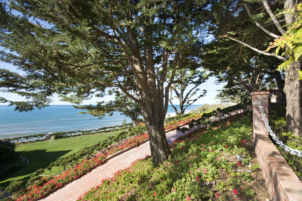 Cape Cod - Cape33572
