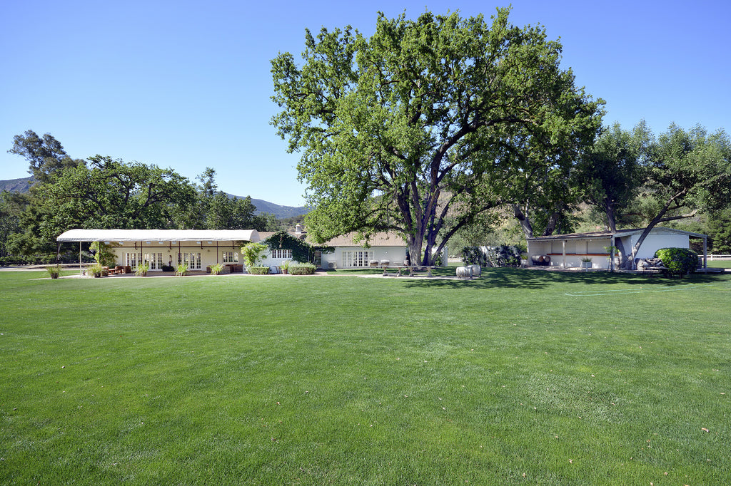 RANCH with Vineyard - RA3068