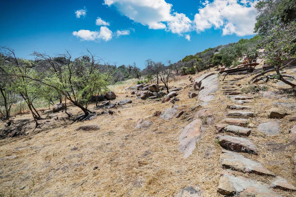 Ranch House - RA3084