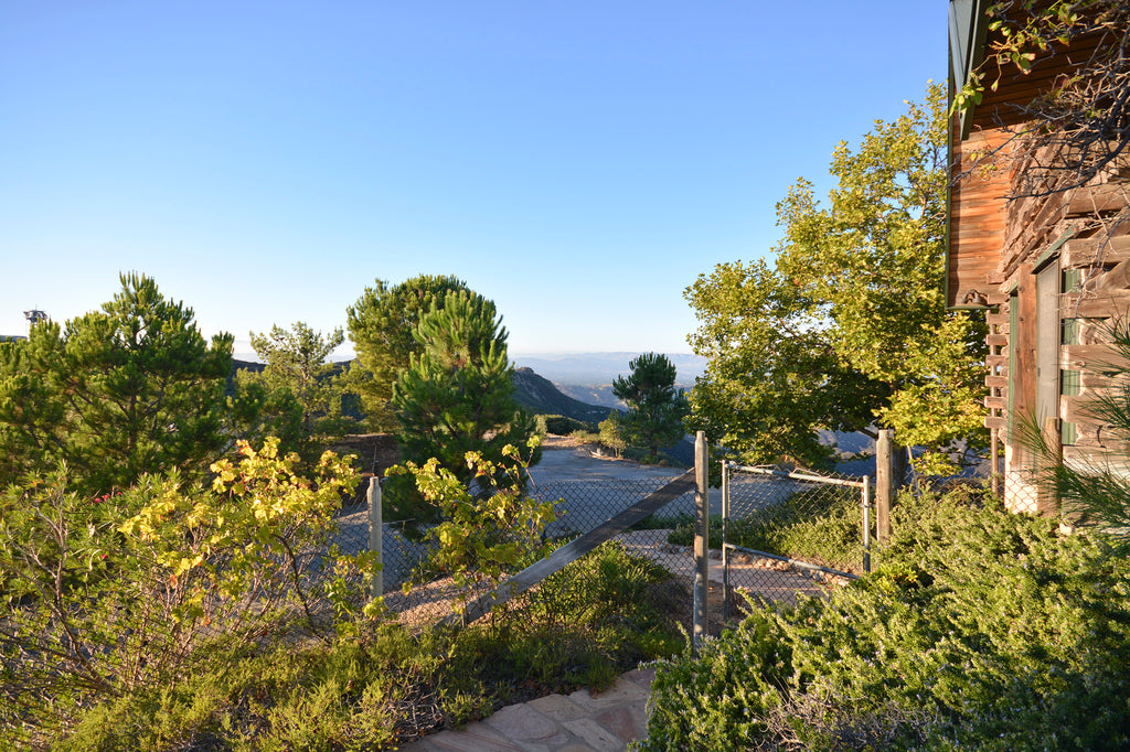 Ranch House - RA3090