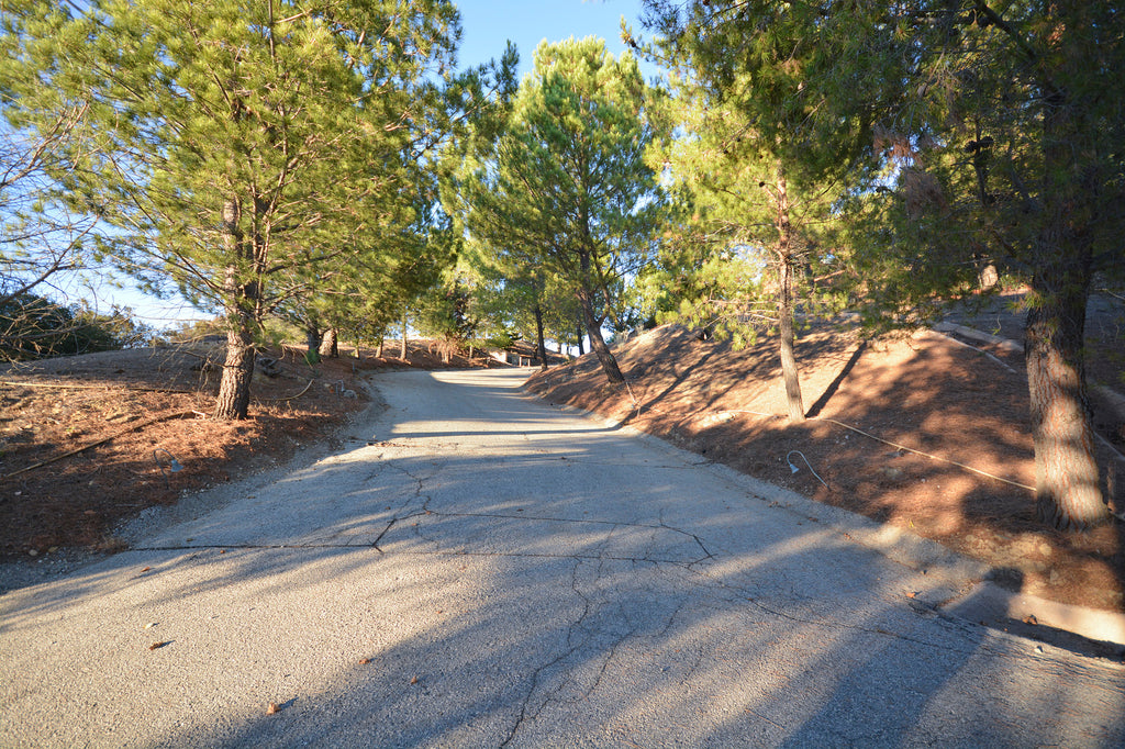 Ranch House - RA3090