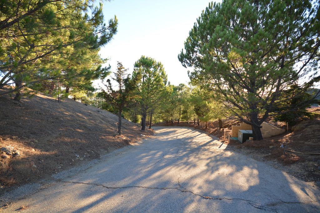 Ranch House - RA3090