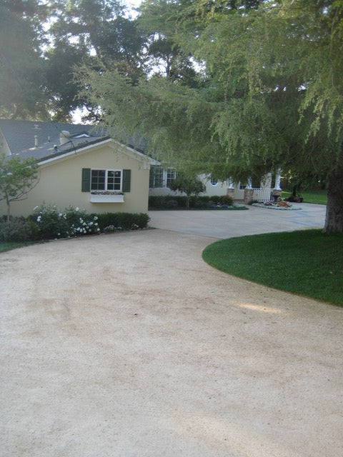 Ranch - RA3111