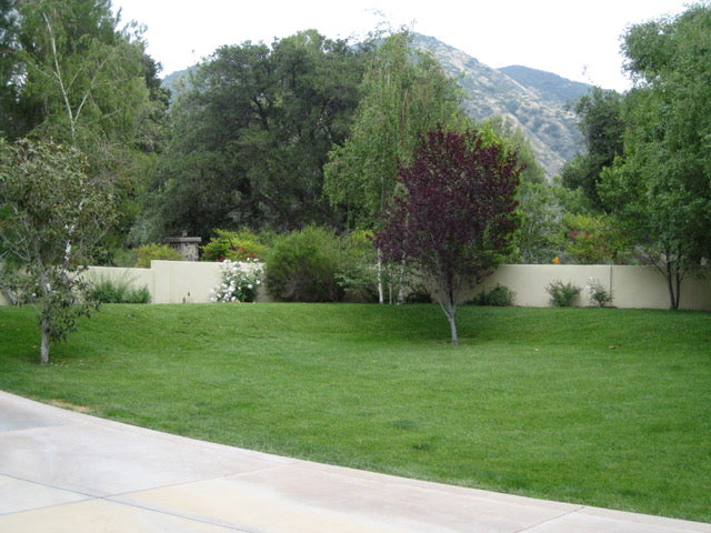 Ranch - RA3111