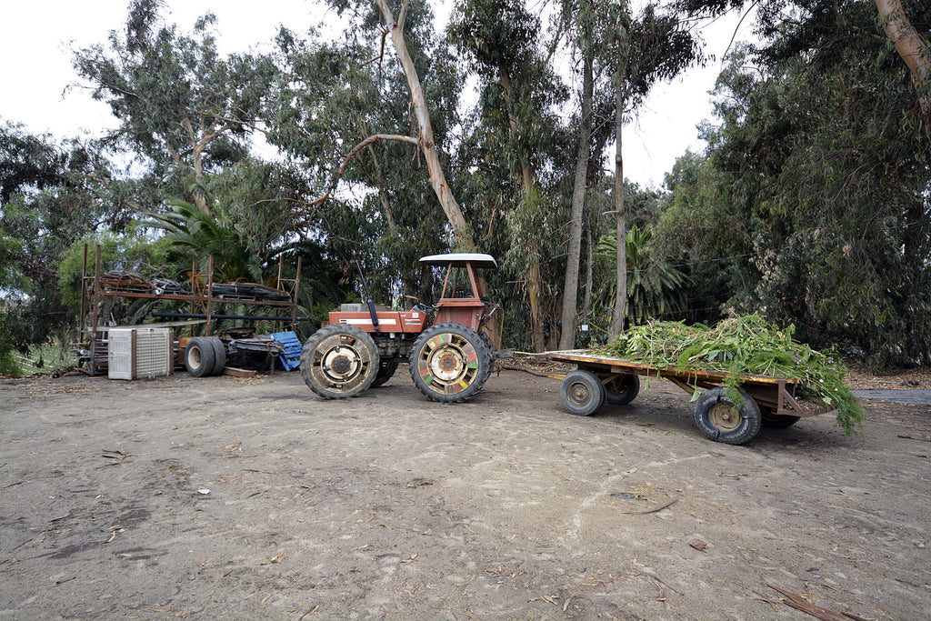 Farm - RA3117
