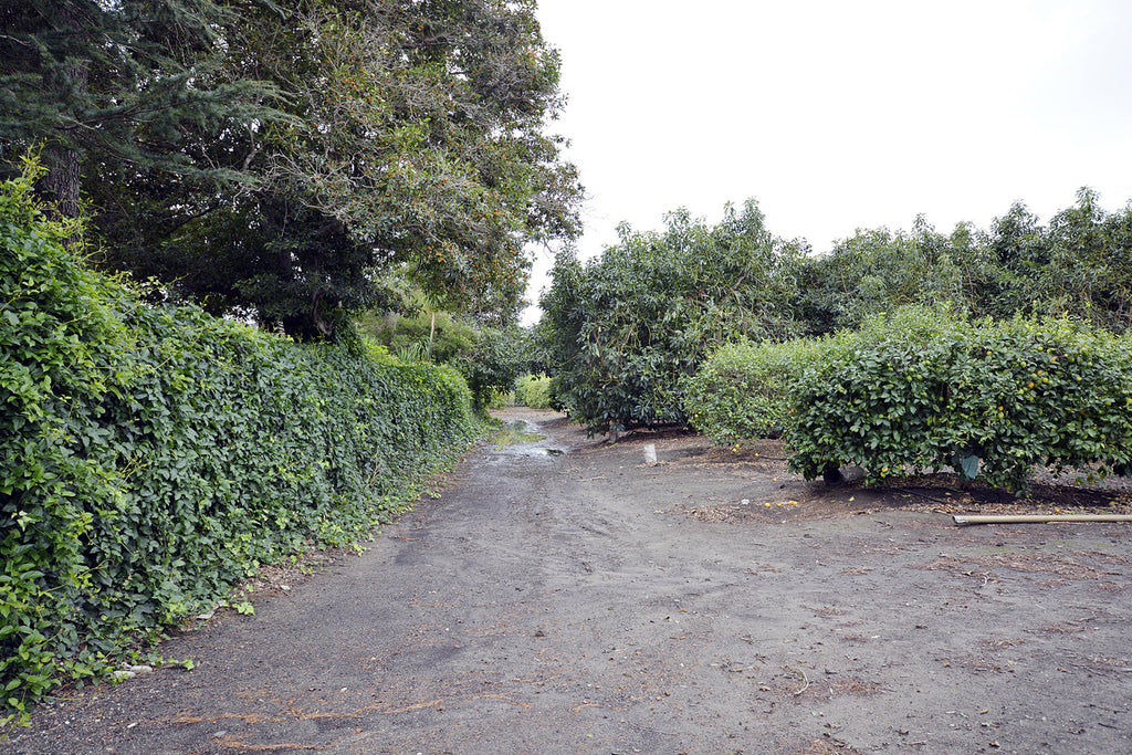 Farm - RA3117