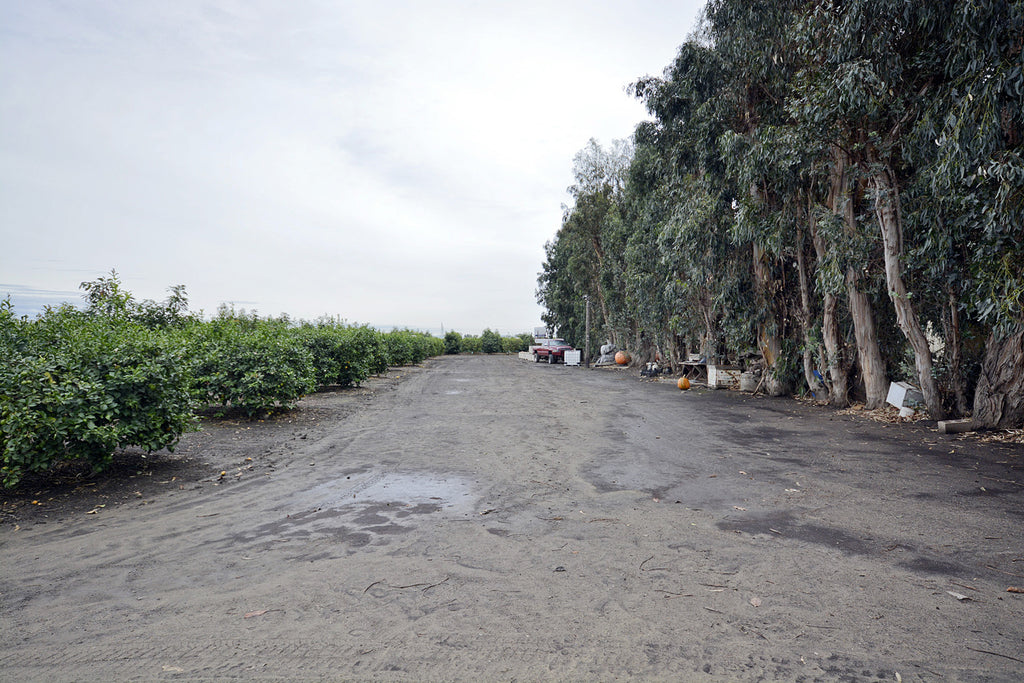 Farm - RA3117