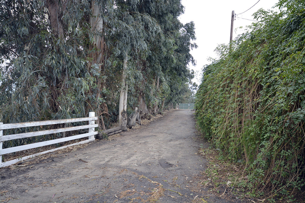 Farm - RA3117
