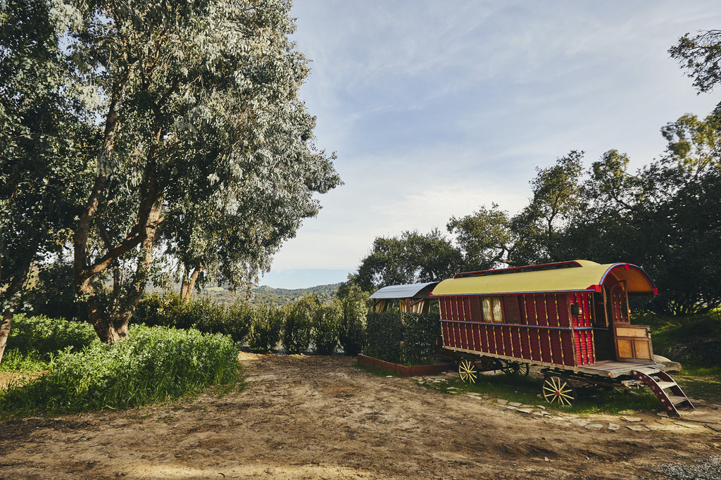 RA3125-04 - Carriage