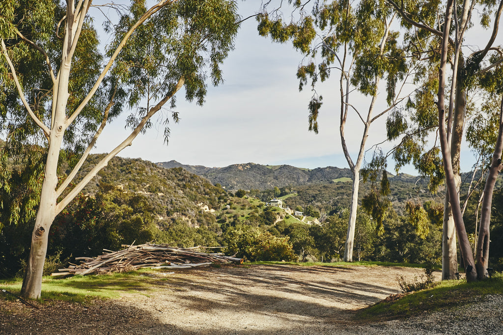 RA3125-04 - Carriage