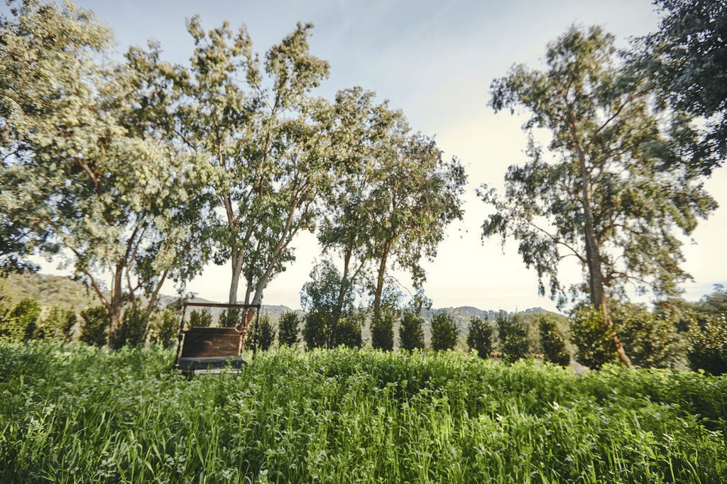 RA3125-04 - Carriage