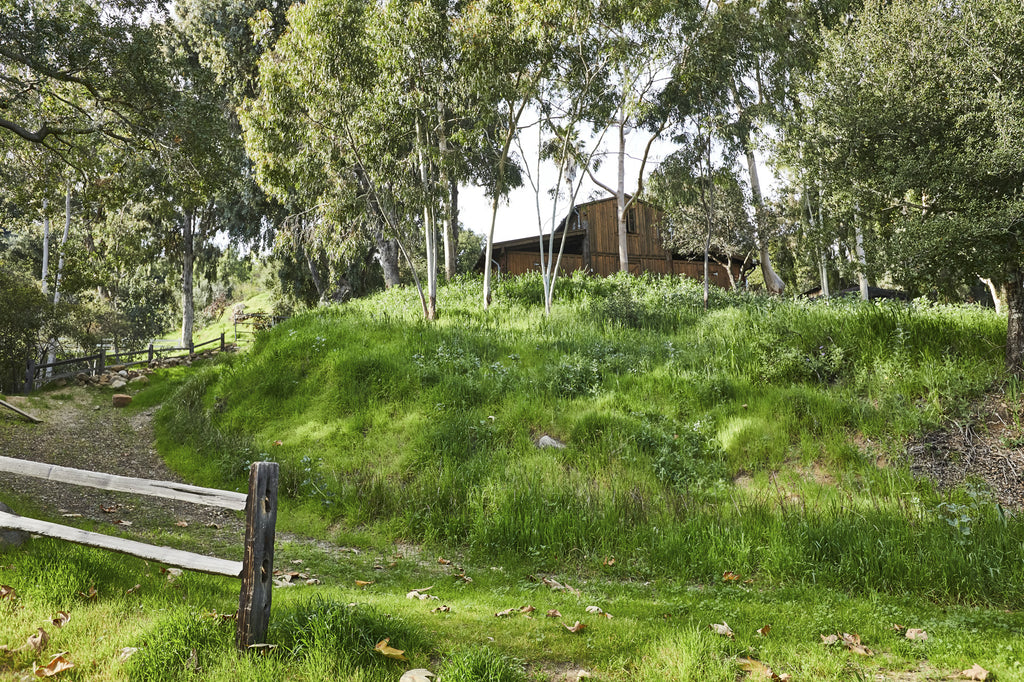 RA3125-04 - Carriage